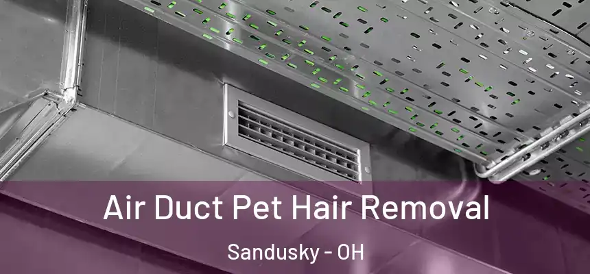 Air Duct Pet Hair Removal Sandusky - OH