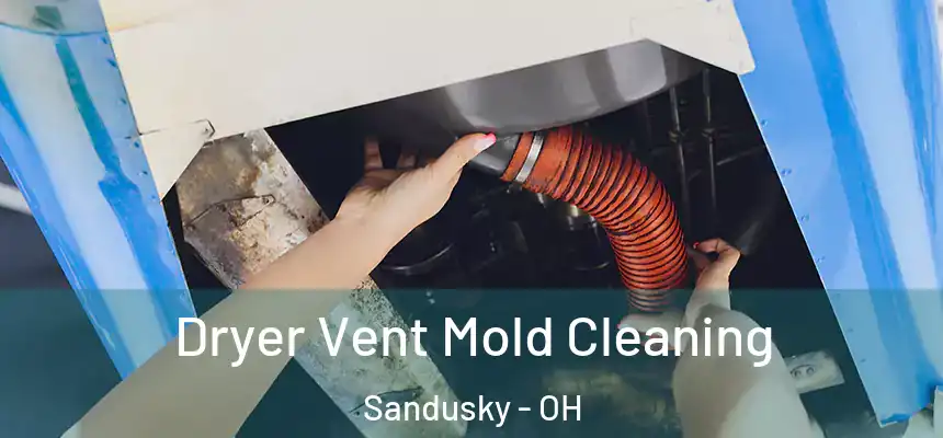 Dryer Vent Mold Cleaning Sandusky - OH