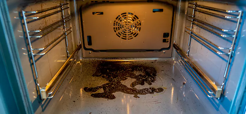 Our Dryer Vent Mold Cleaning Services in Sandusky, OH