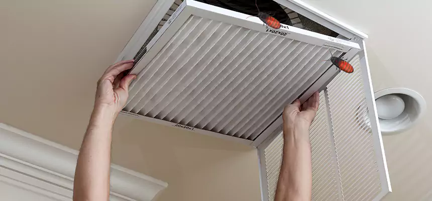 Our Insect Removal from Air Ducts Services in Sandusky, OH