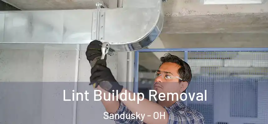 Lint Buildup Removal Sandusky - OH