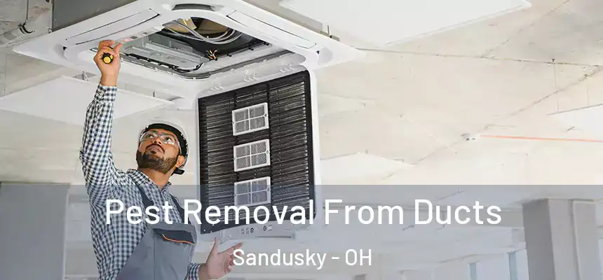 Pest Removal From Ducts Sandusky - OH