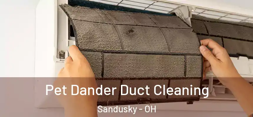 Pet Dander Duct Cleaning Sandusky - OH