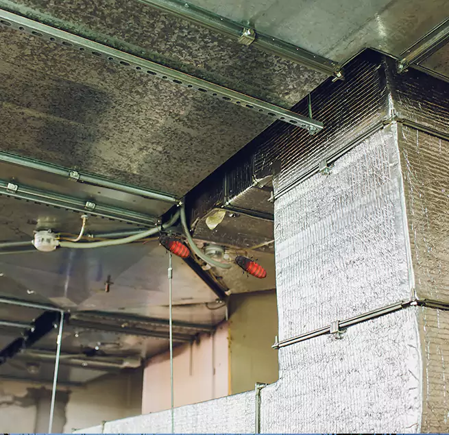 Why Homeowners & Businesses Trust Us in Sandusky, OH?