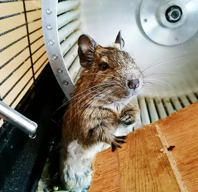 Why Homeowners & Businesses Trust Us Sandusky, OH